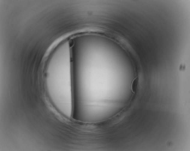 X0000114670784200910211008