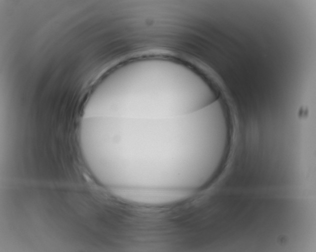 X0000114670785200910211008