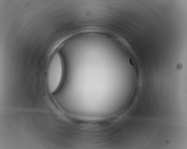X0000114670786200910211008