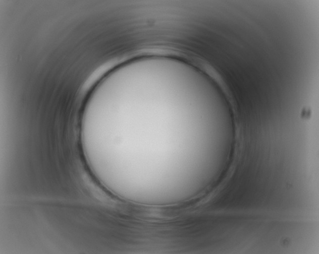 X0000114670787200910211008