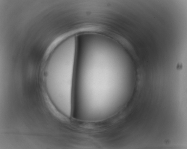 X0000114670792200910211007