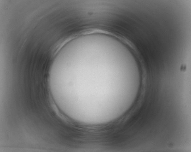 X0000114670793200910211007