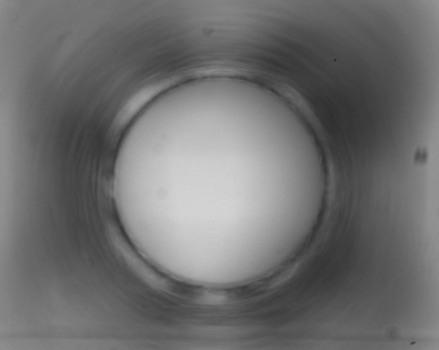 X0000114670794200910211007