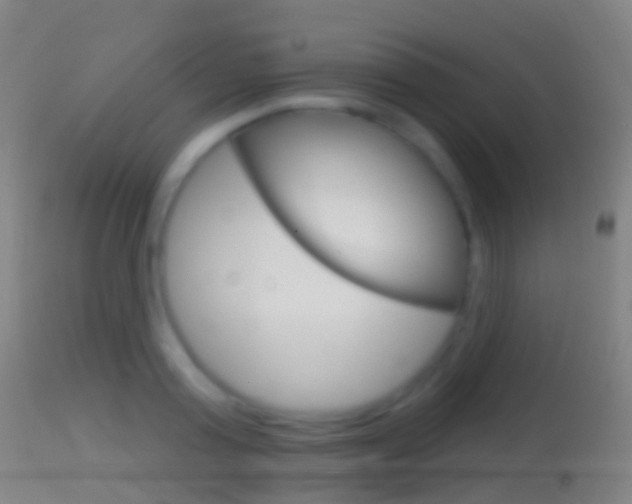 X0000114670795200910211007