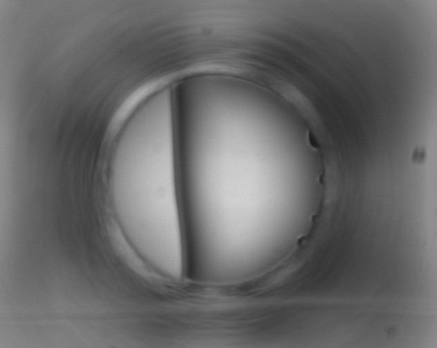 X0000114670796200910211007