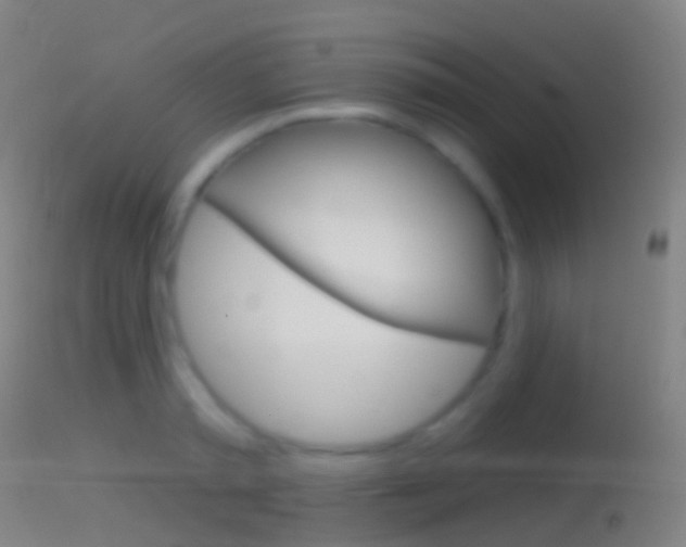 X0000114670797200910211007