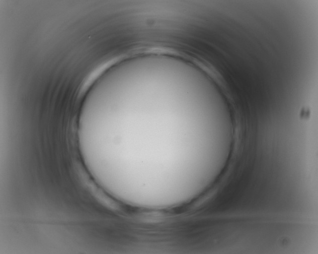 X0000114670798200910211007