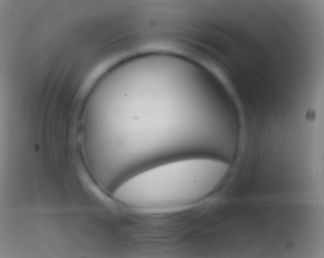 X0000114670799200910211007