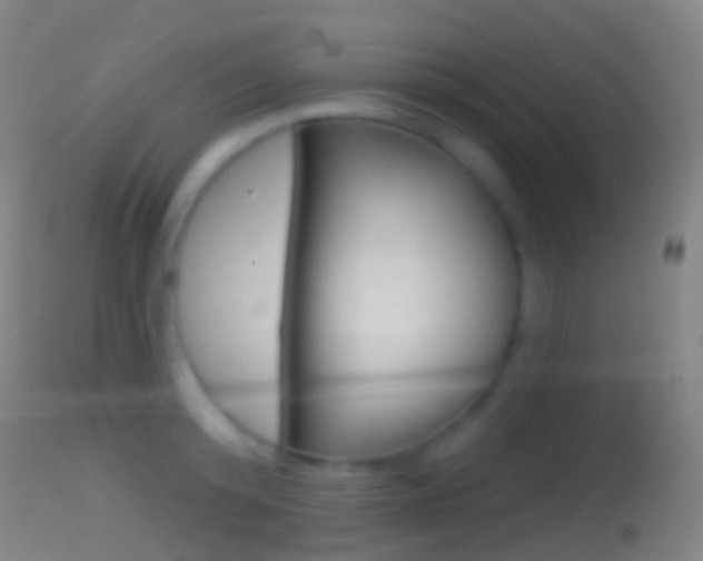 X0000114670800200910211007