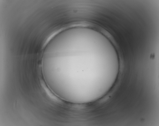 X0000114670802200910211007