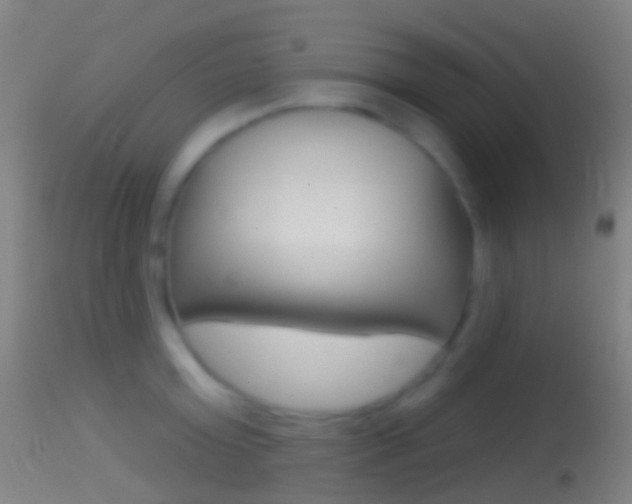 X0000114670803200910211007