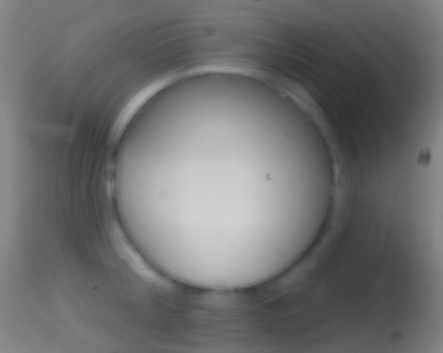 X0000114670804200910211007