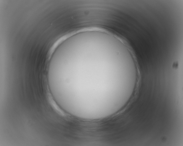 X0000114670805200910211007
