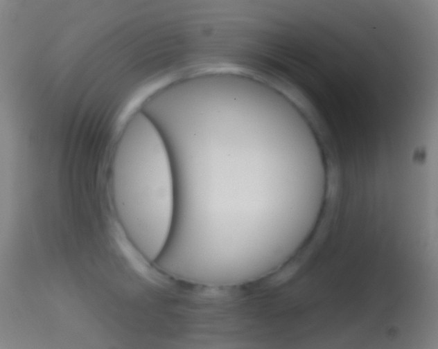 X0000114670806200910211007