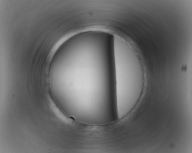 X0000114670808200910211007