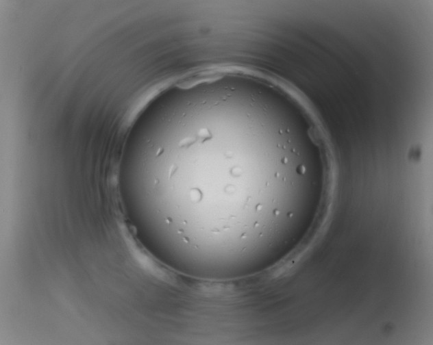 X0000114670809200910211007