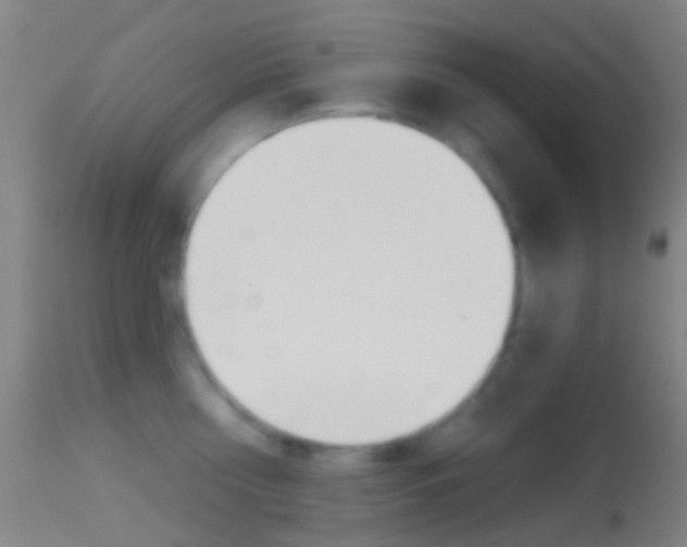 X0000114670810200910211007