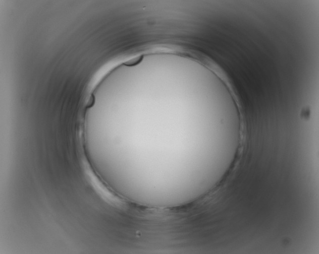 X0000114670811200910211007