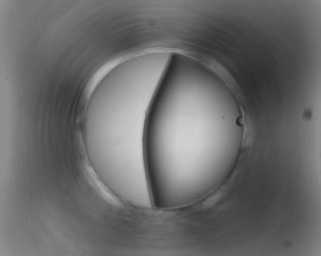X0000114670812200910211007