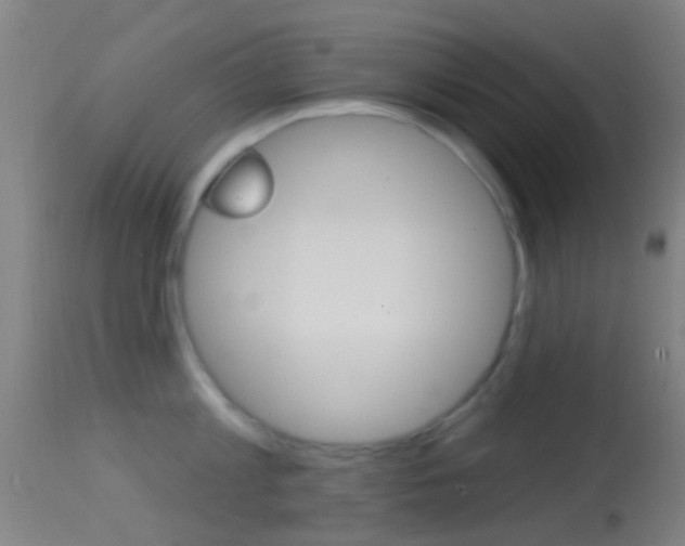 X0000114670813200910211007