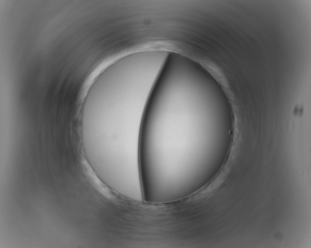 X0000114670816200910211007