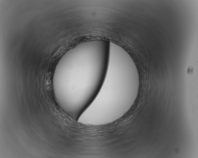 X0000114670818200910211006