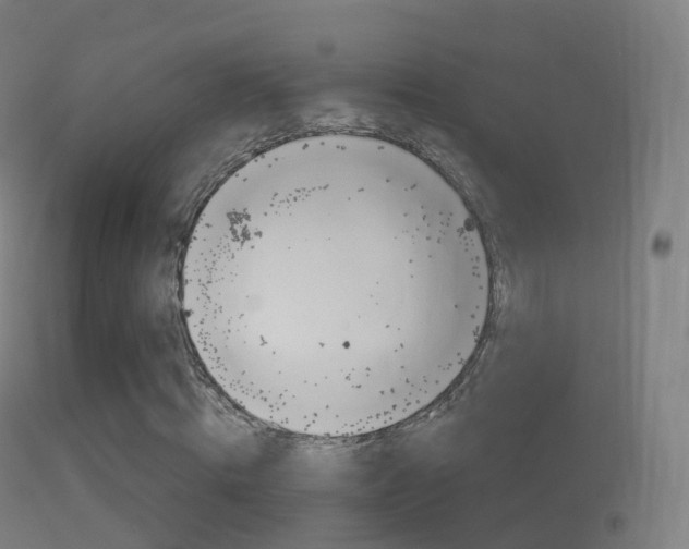 X0000114670820200910211007