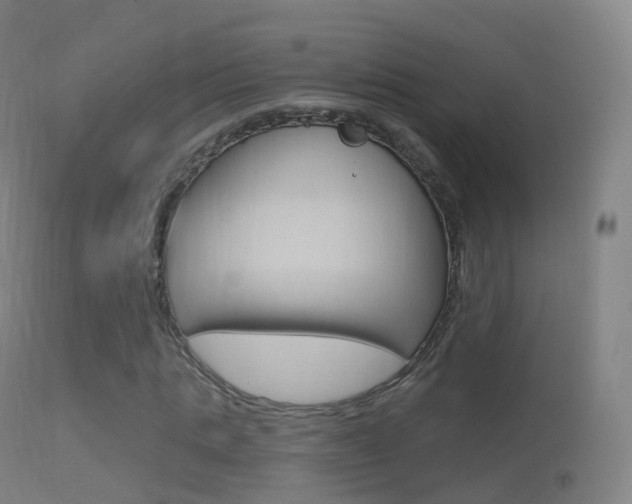 X0000114670821200910211007
