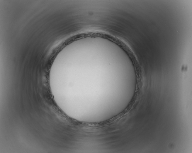 X0000114670823200910211007