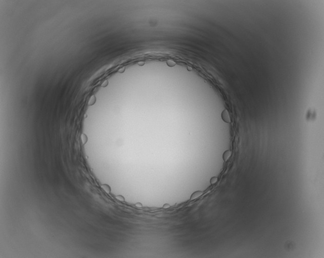 X0000114670824200910211007