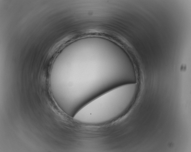 X0000114670825200910211007