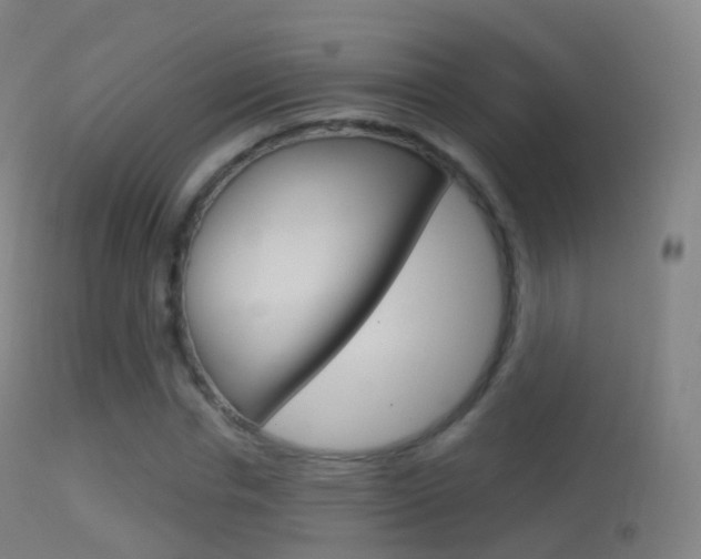 X0000114670826200910211007