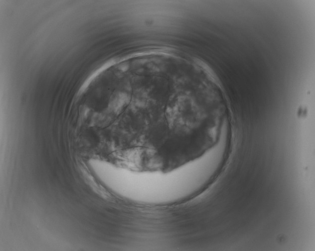 X0000114670827200910211007