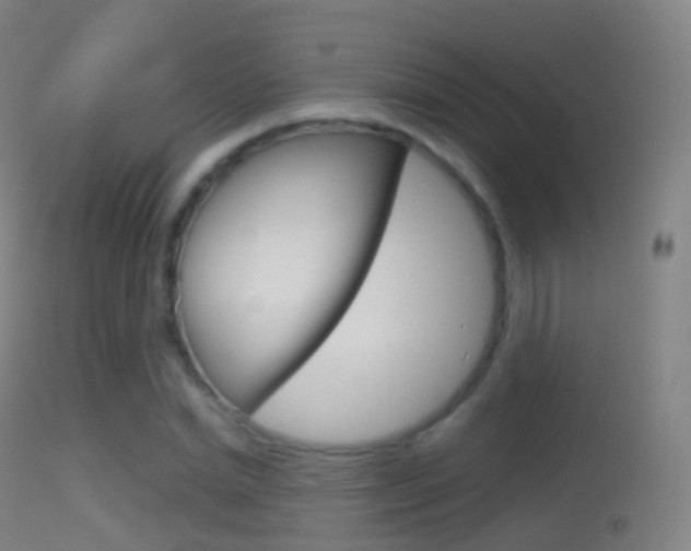 X0000114670830200910211007