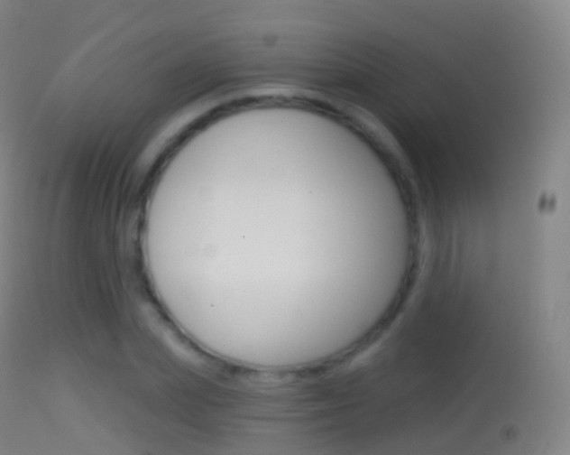 X0000114670831200910211007
