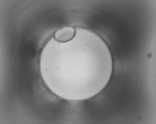 X0000114670832200910211007