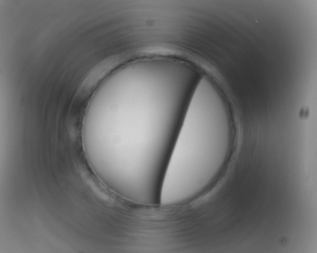 X0000114670833200910211007