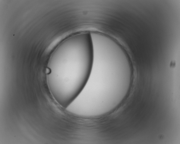 X0000114670834200910211007