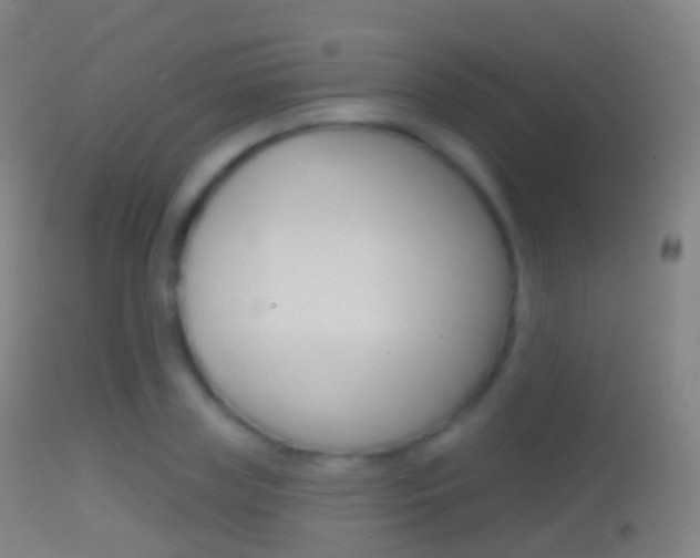 X0000114670835200910211007