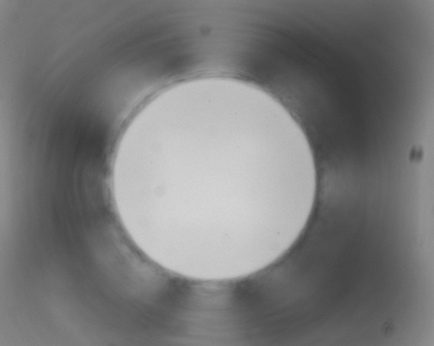 X0000114670836200910211007
