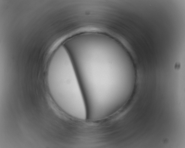 X0000114670837200910211007