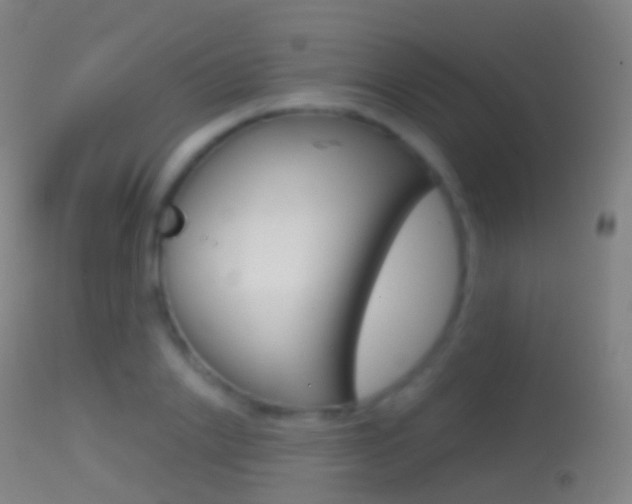 X0000114670838200910211007