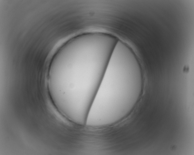 X0000114670840200910211007