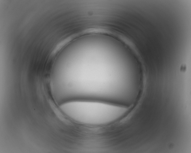 X0000114670841200910211007