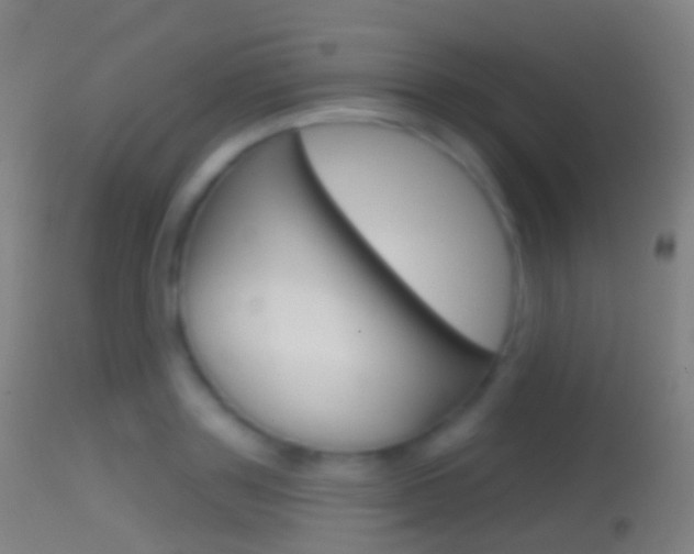X0000114670843200910211007