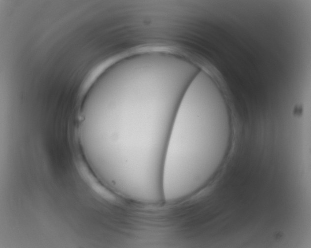 X0000114670844200910211007