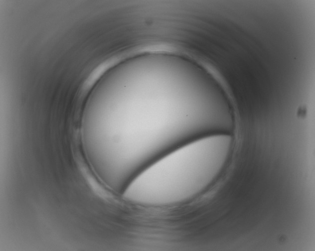 X0000114670845200910211007