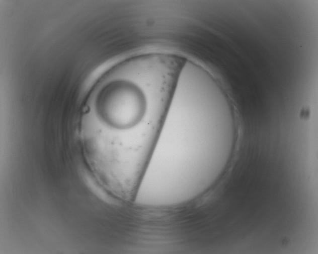 X0000114670846200910211007
