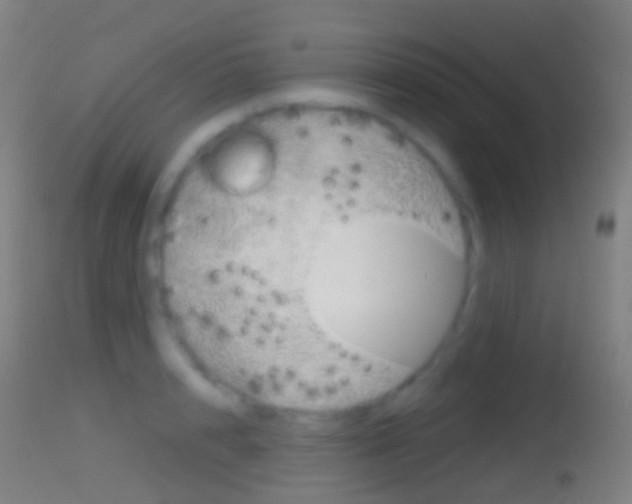 X0000114670848200910211007