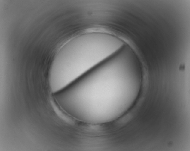 X0000114670849200910211007